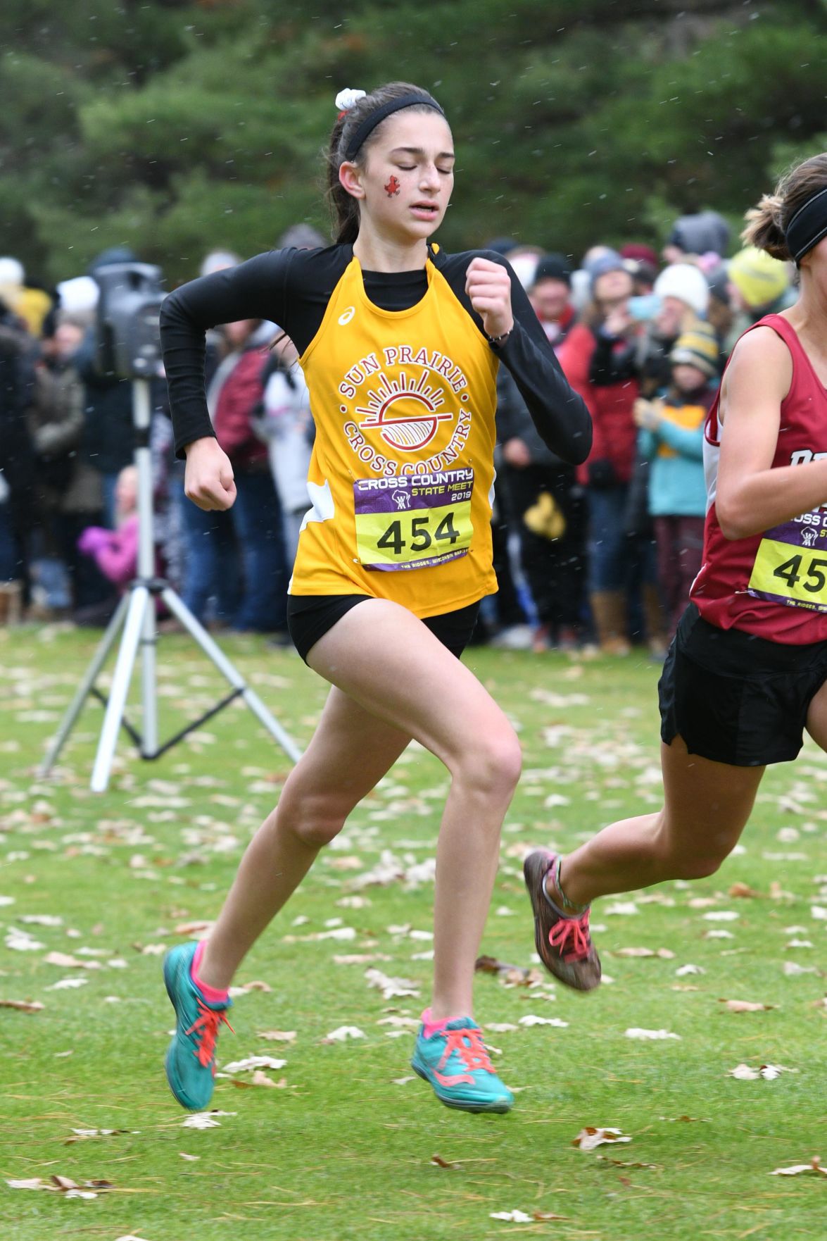 WIAA state cross country photo: Ellen Darmstadter, Sun Prairie